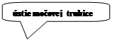 Zaoblený obdélníkový popisek: ústie močovej trubice